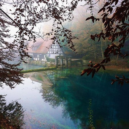 Ferienwohnung Reimann Mit Kostenloser Albcard Blaubeuren Dış mekan fotoğraf